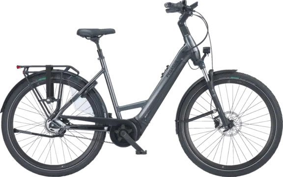 Pegasus RAVENNA EVO
