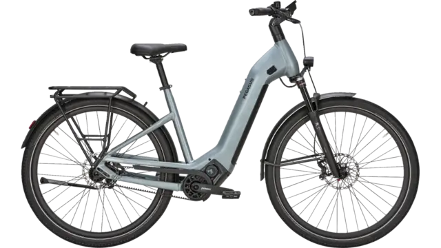 Pegasus ESTREMO EVO