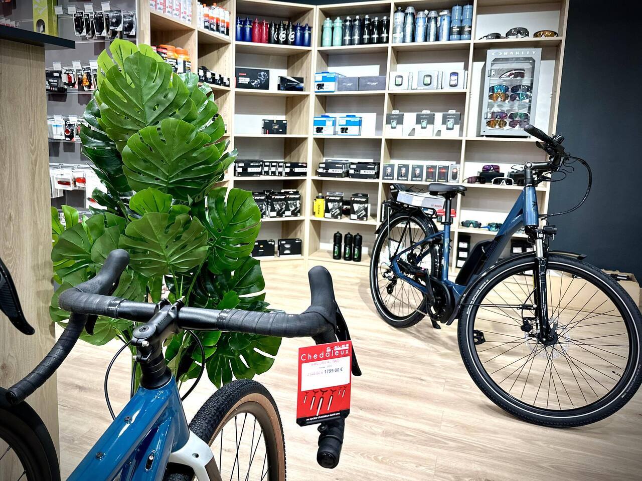 VELOLAND LORIENT magasin de vélo à Caudan Veloland Caudan magasin