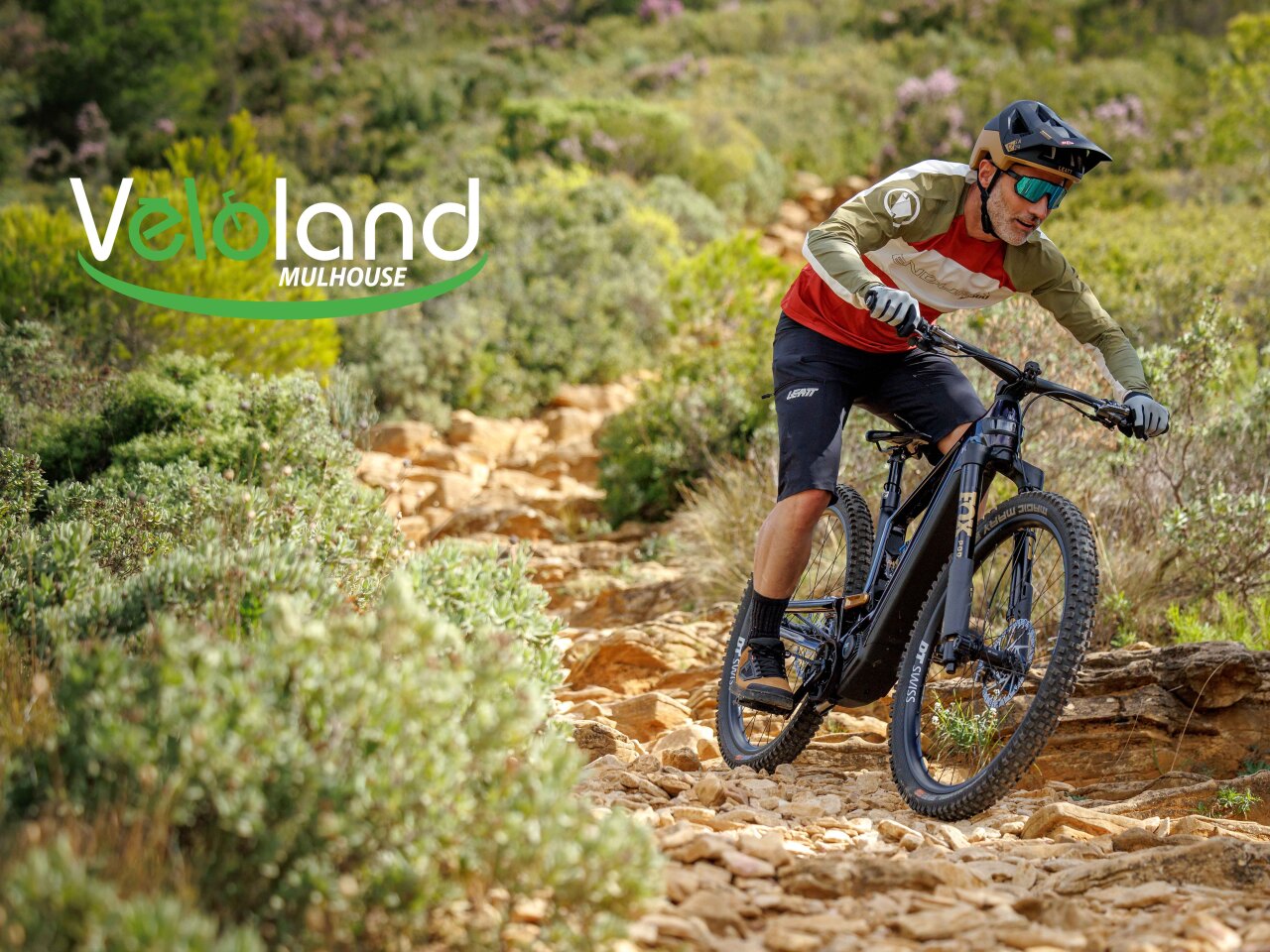  Espace Velos magasin de vélo à Mulhouse 