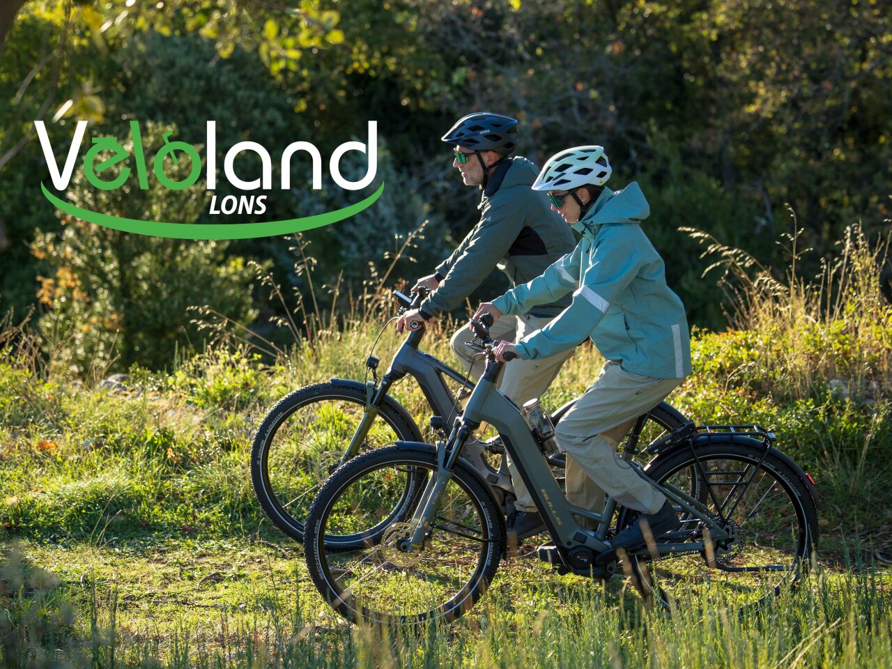 Bearn Cycles             magasin de vélo à Lons 