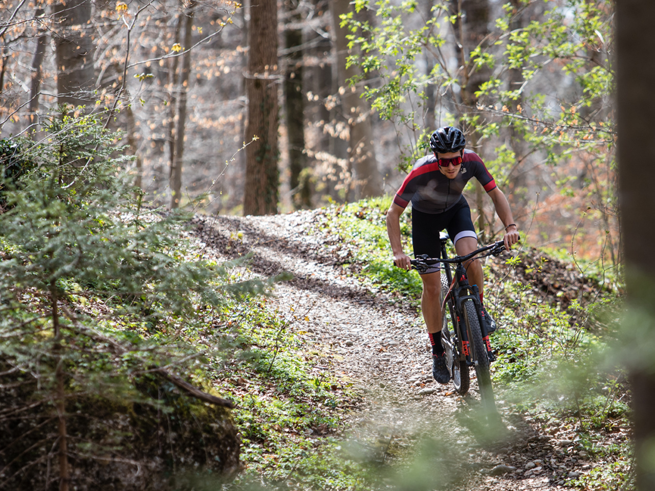   magasin de vélo à Genève 