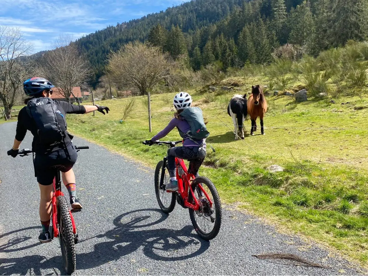 Bike and Run'In magasin de vélo à Colmar 
